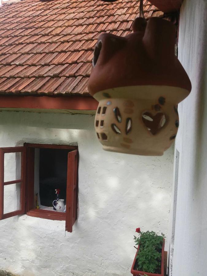 Etno Guest House Lalovic Tjentiste Zewnętrze zdjęcie