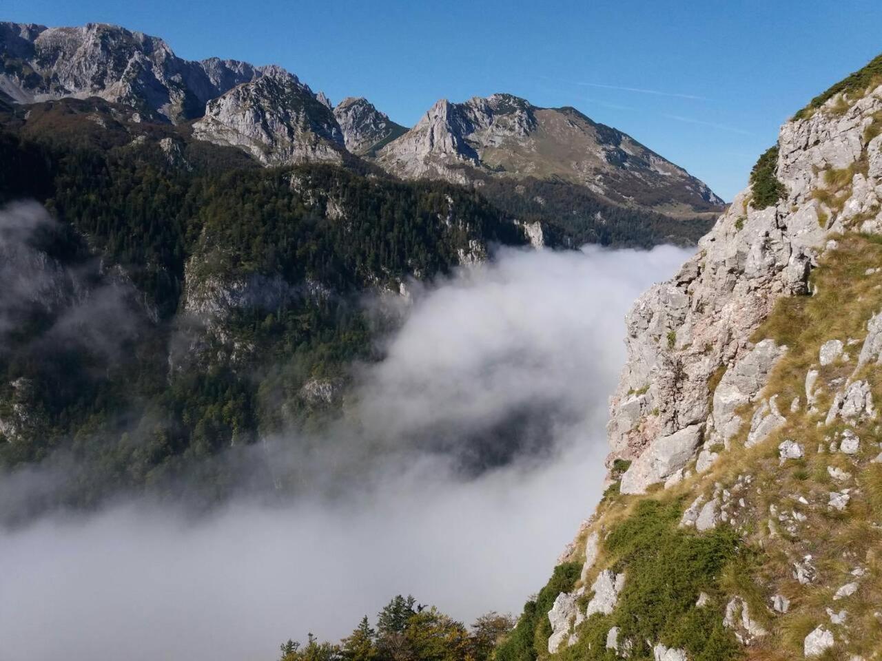 Etno Guest House Lalovic Tjentiste Zewnętrze zdjęcie